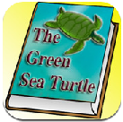Green Sea Turtle