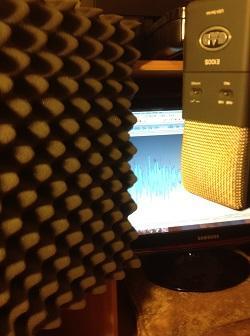 מיקרופון להקלטת קריינות